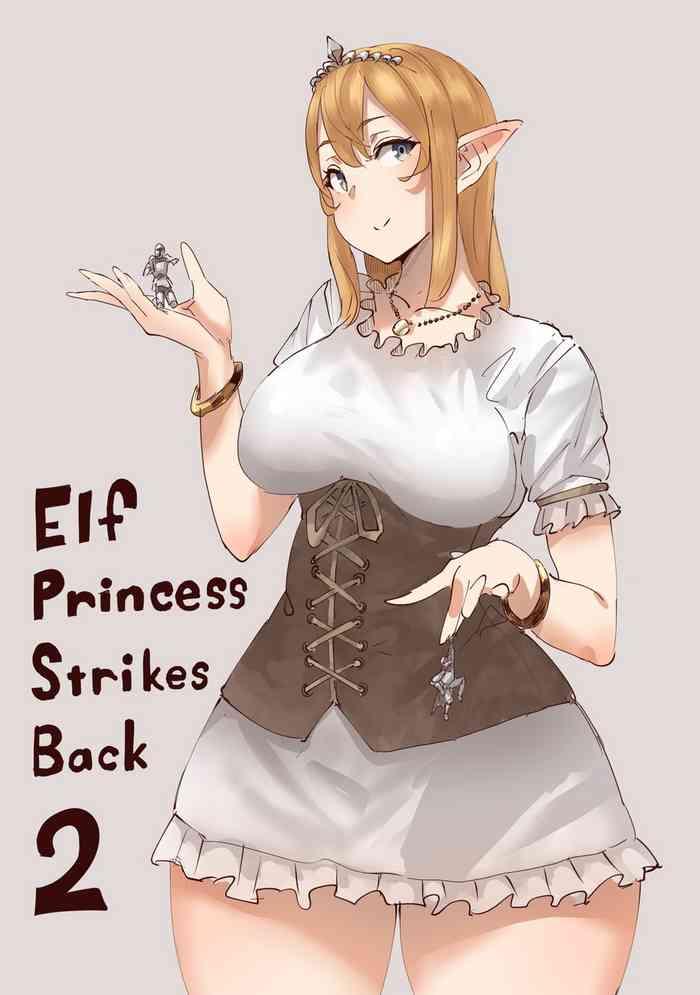 elf princess strikes back 2 cover