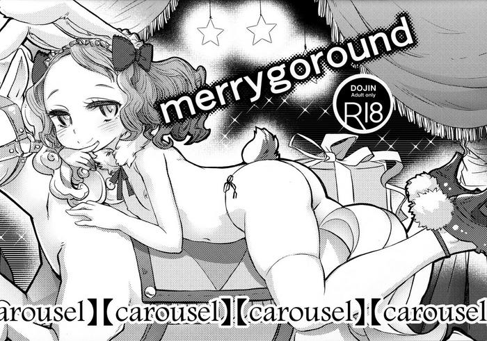 merrygoround carousel cover