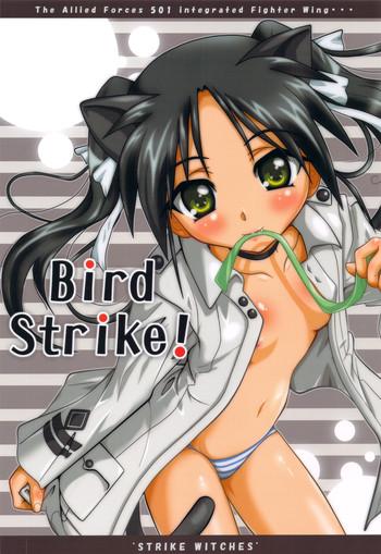 bird strike cover