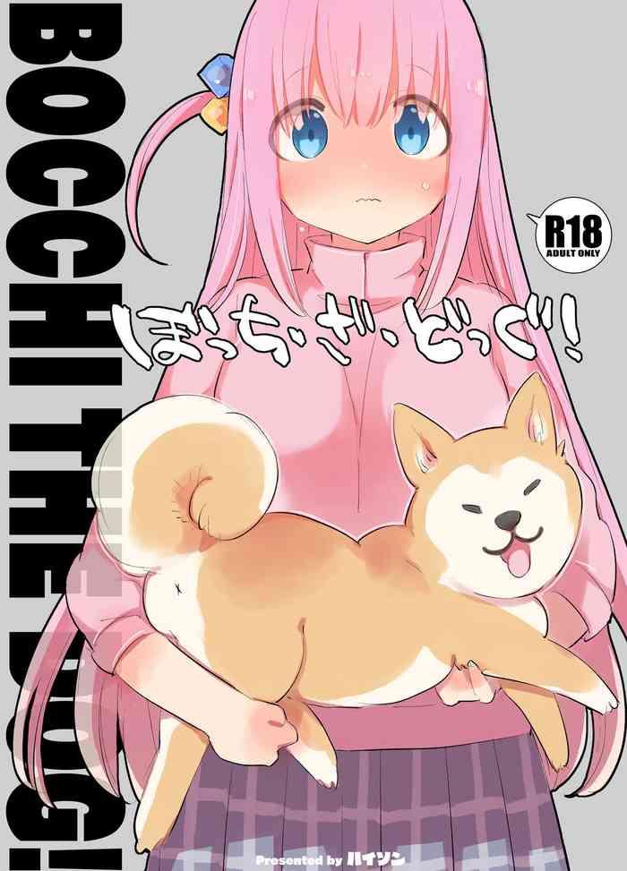 bocchi the dog cover