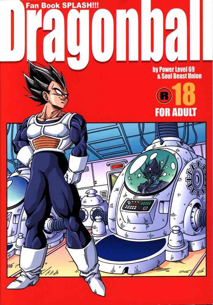 dragonball fan book splash cover