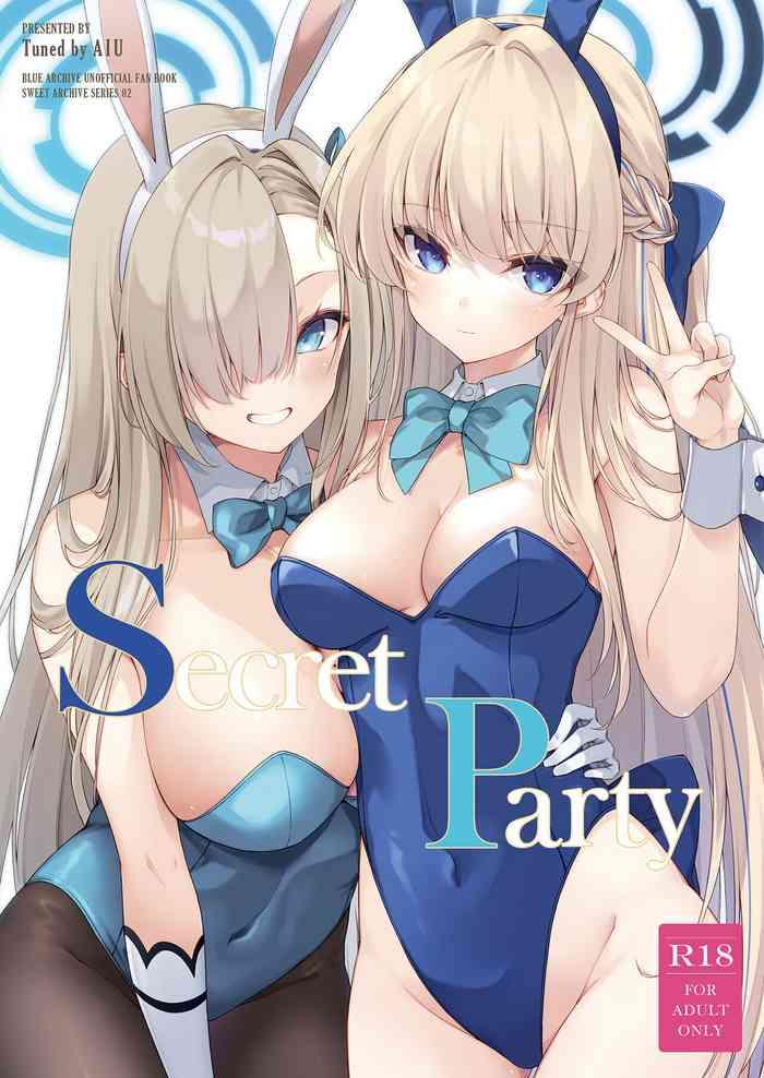 secret party cover