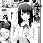 dekita musume cover