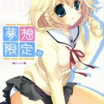 musou gentei cover