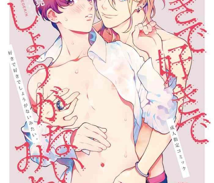 sukide sukide sh ganai mitai 2 cover