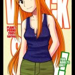 wreck style cover